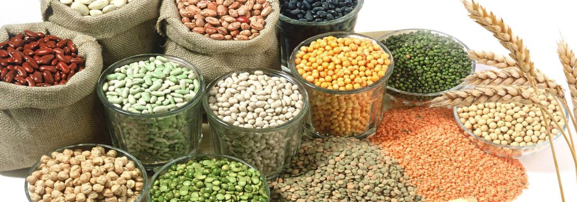 Pulses Exporter India